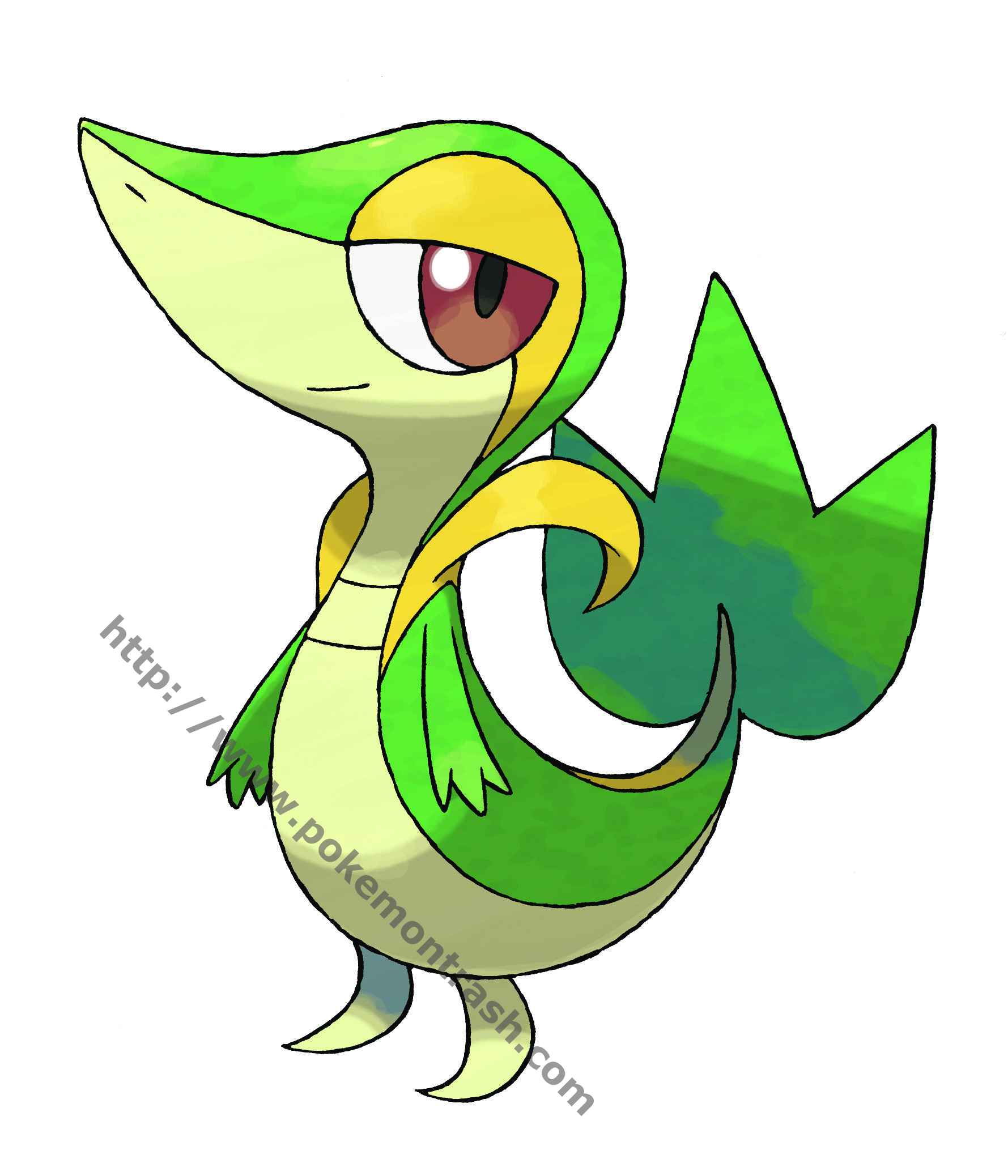 EXCLU Artworks HD Pokmon Noir et Blanc
