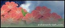 La fameuse fleur