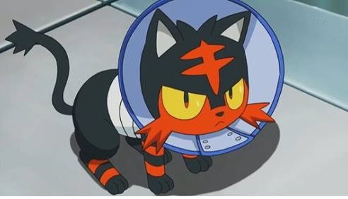 taux de rencontre pokemon
