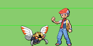 Ninjask