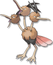 Dodrio