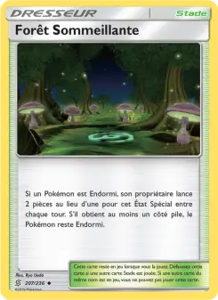 Forêt Sommeillante