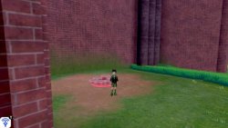 Bridge Field Den 2