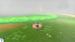 Rolling Fields Den 4