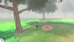 Rolling Fields Den 5