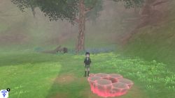 Rolling Fields Den 7
