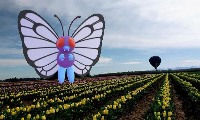 Exemple d'image du Défi Habitat du concours Snapshot Pokémon Go