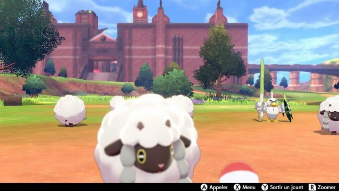 Pokemon Pokecamping Moumouton