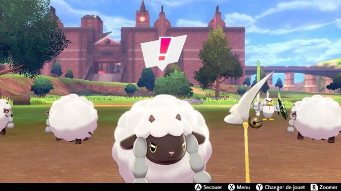 Pokemon Moumouton Pokecamping