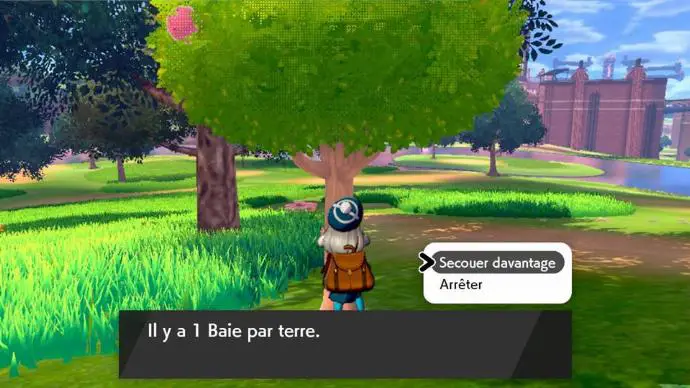 Pokemon arbre baie