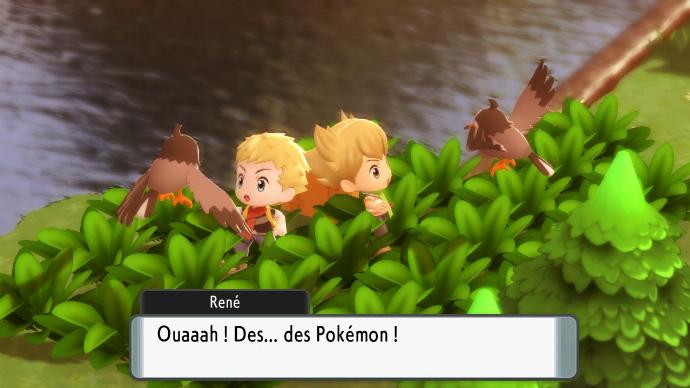 Étourmi Pokémon DEPS