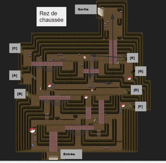 Pokémon DEPS Route Victoire