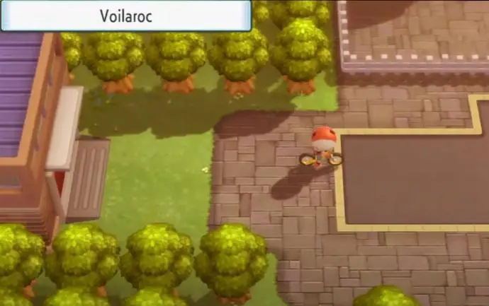 Voilaroc Pokémon DEPS