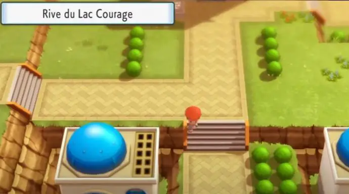 Rive Lac Courage Pokemon DEPS