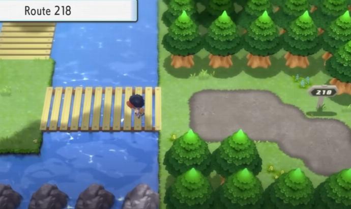 Pokémon DEPS Route 218