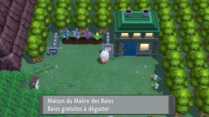 Route 208 le maitre des baies