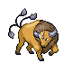 tauros