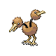 doduo