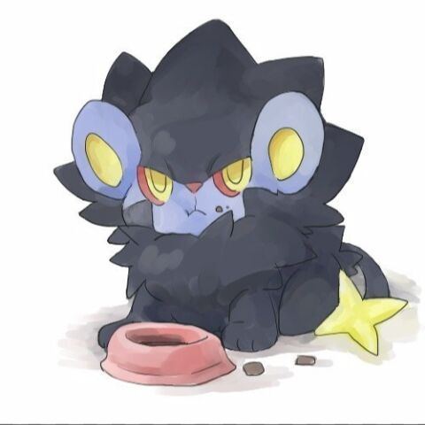 luxray