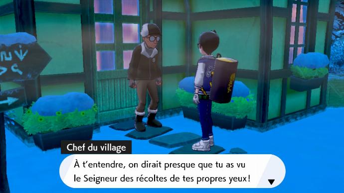 Discussion avec chef du village