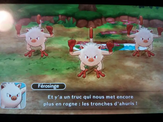 Capture d'écran Pokémon Donjon Mystère DX