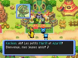 Les héros rencontrent Marill et Azumarill.