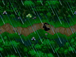 Ombre d'un Pokémon courant dans la forêt.