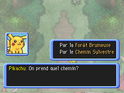 Vous devez choisir entre les 2 chemins