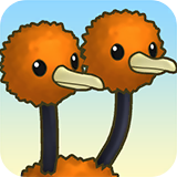 Portrait Doduo