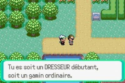 Capture d'écran personnage zone de combat