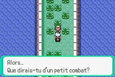 Capture d'écran Combat Rival Route 110