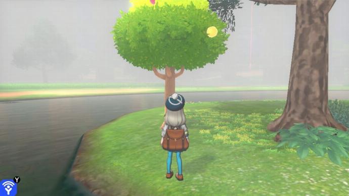 arbre à baie pokemon curry