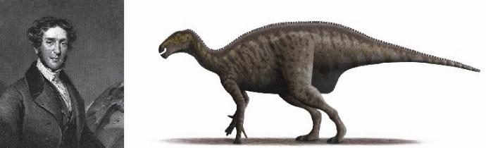 Gideon Mantell Iguanodon