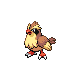 Pokémon #016