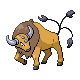 Pokémon #128