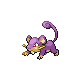 Rattata