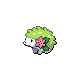 Shaymin Forme Terrestre