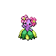 Joliflor Shiny