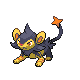 Luxio Shiny