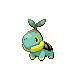 Tortipouss Shiny