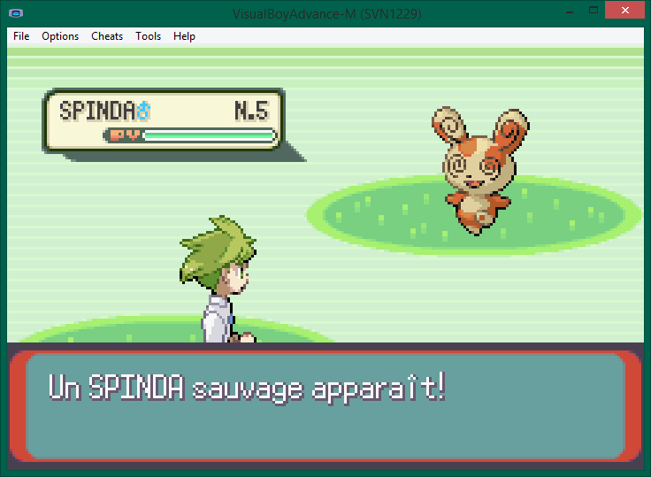 Timmy va capturer un Spinda !