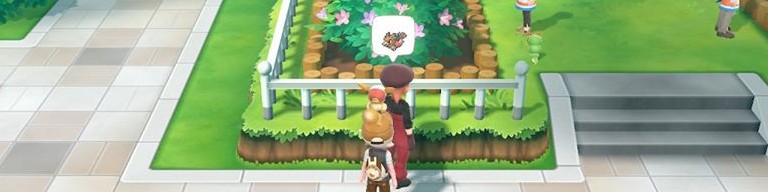 Liste des experts Pokémon