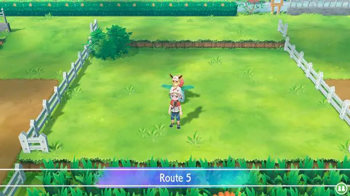 Pokemon Let's Go Route 5