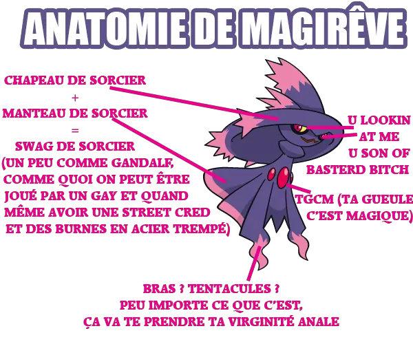 Anatomie de Magirêve