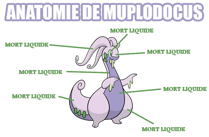 Anatomie de Muplodocus