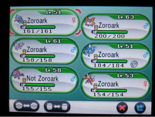 Équipe Zoroark