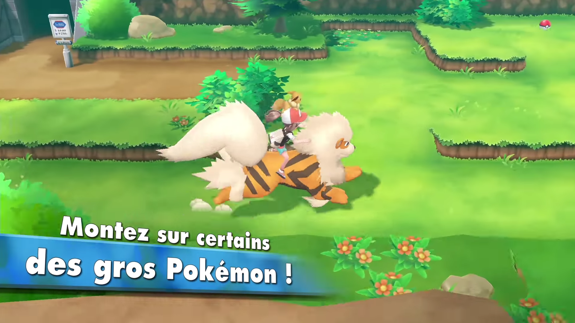 pokemon let's go arcanin