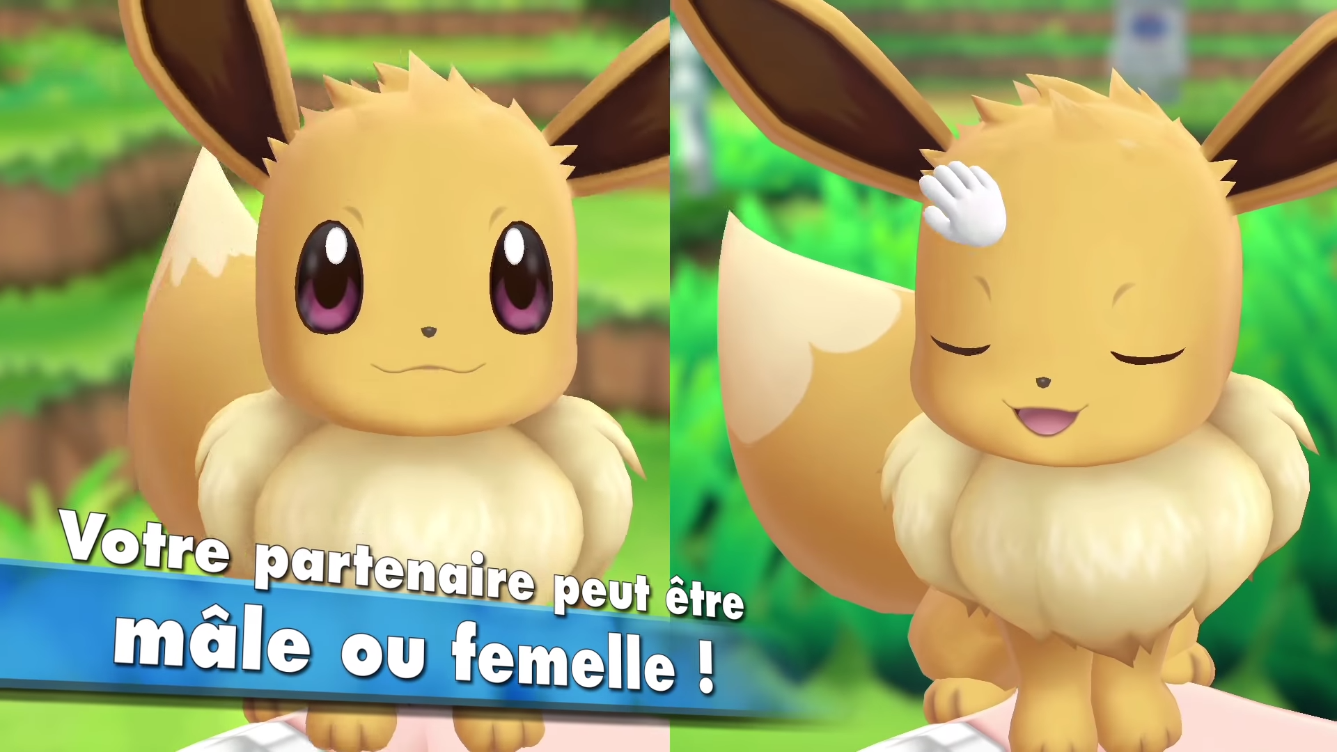 pokemon let's go évoli