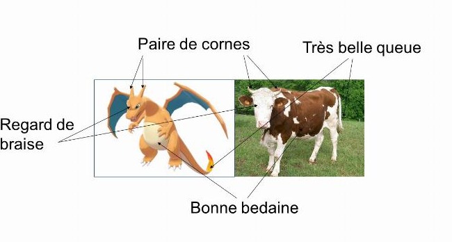 Dracaufeu Vache Pokésciences