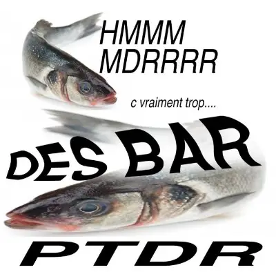 meme poisson bar